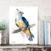 Pacific baza