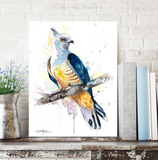 Pacific baza