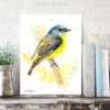 Eastern yellow robin