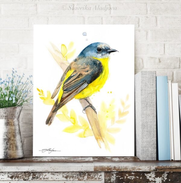 Eastern yellow robin