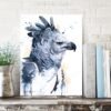 Harpy eagle