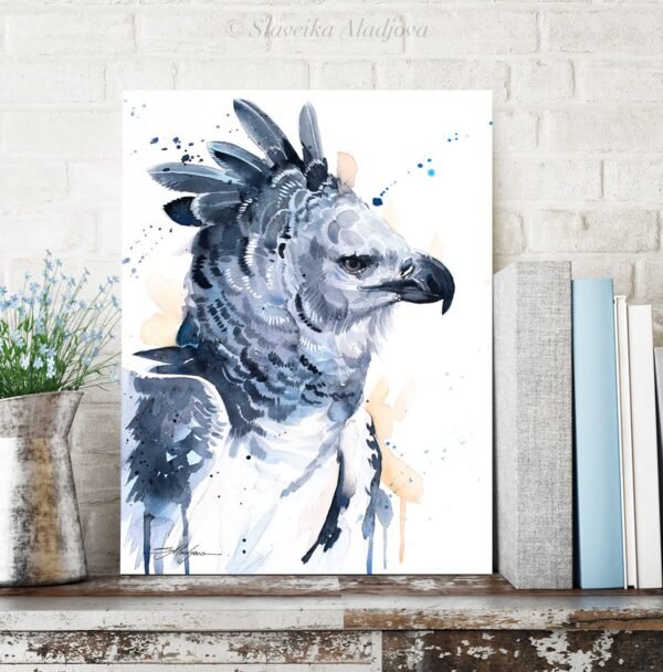 Harpy eagle