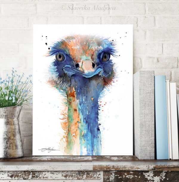 Ostrich Ostrich