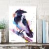 Hooded crow Hooded crow