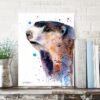 Marmot Marmot