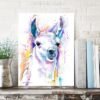Llama