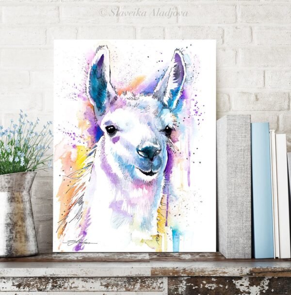 Llama