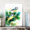 Eurasian blue tit