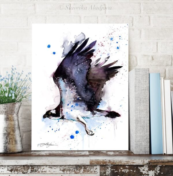 Osprey
