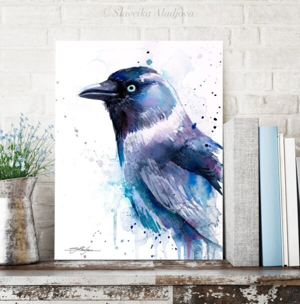Jackdaw