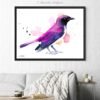 Amethyst starling