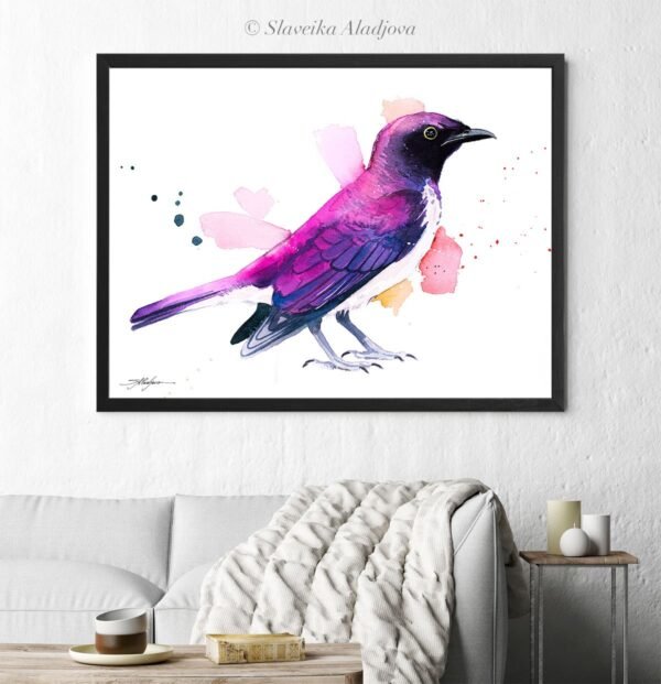 Amethyst starling
