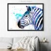 Zebra Zebra