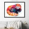 Red Panda Bear
