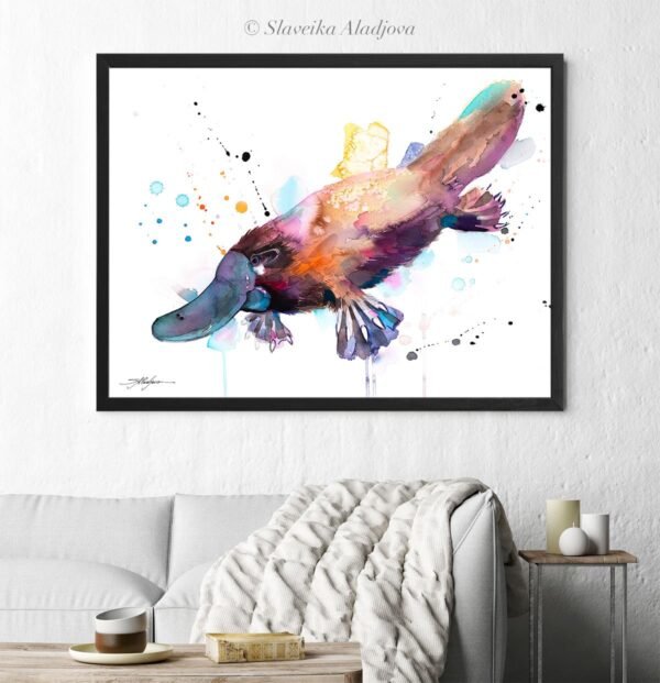 Platypus Platypus