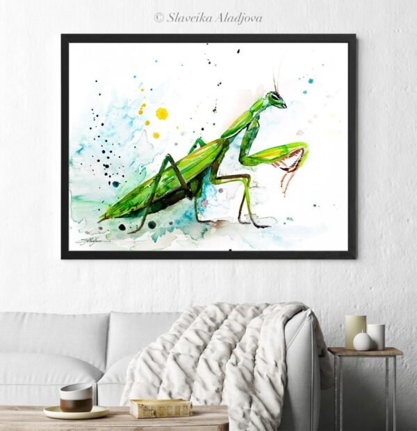 Mantis