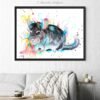 Chinchilla Chinchilla
