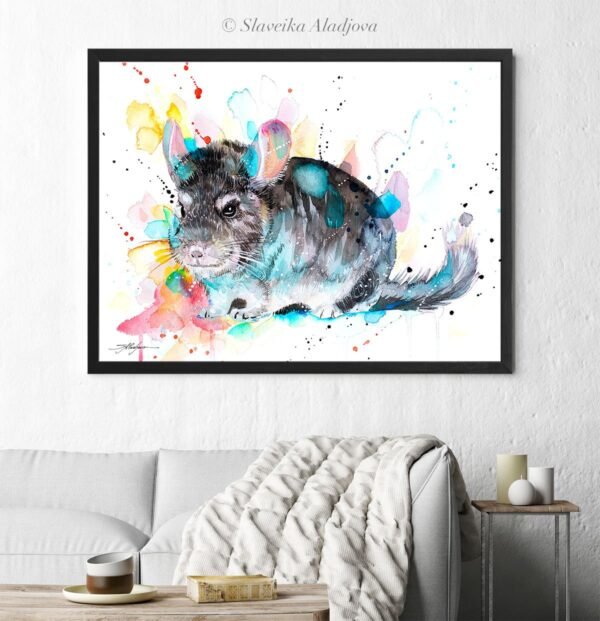 Chinchilla Chinchilla
