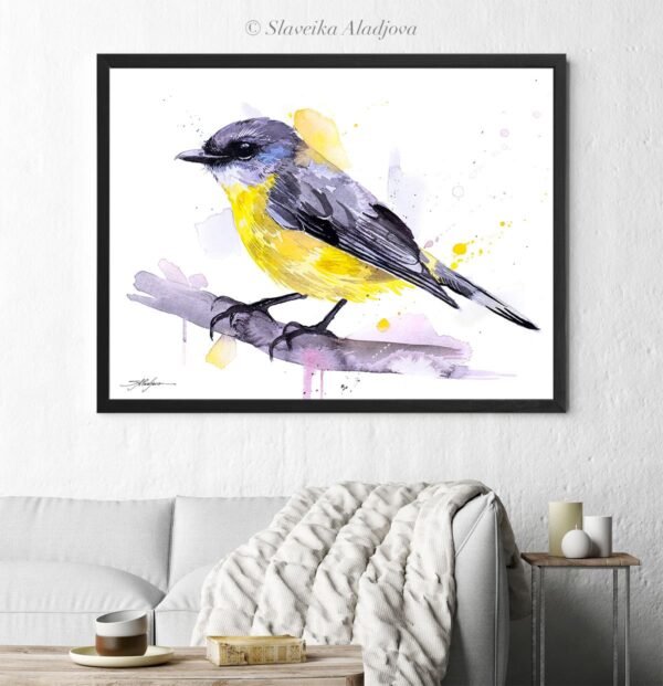 Eastern yellow robin