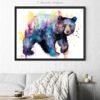American black bear