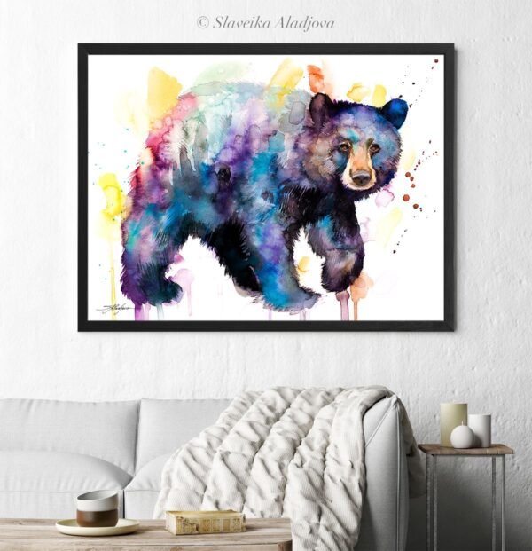American black bear