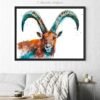 Alpine ibex