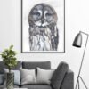 Great Grey Owl fine art print by Luke Kanelov