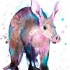 Aardvark