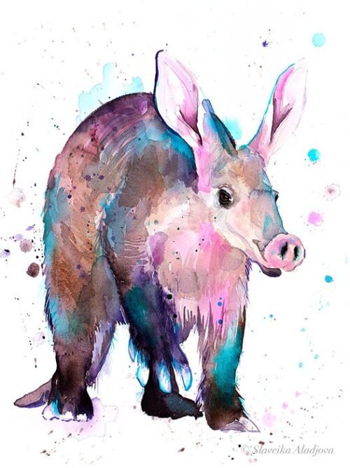 Aardvark