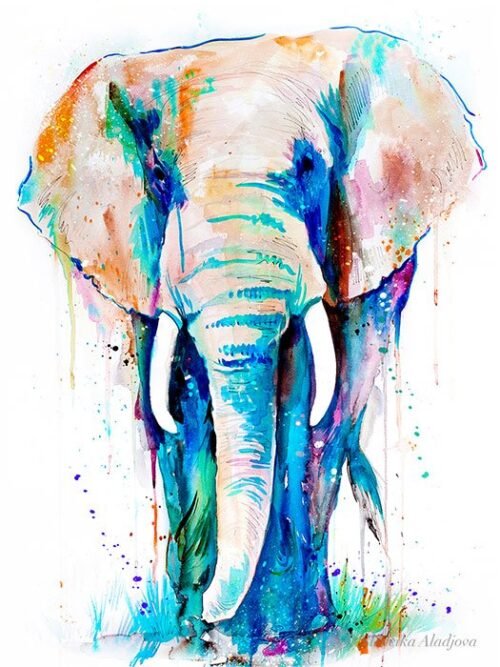 African Elephant