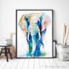African Elephant