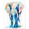 African Elephant