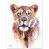African Lioness