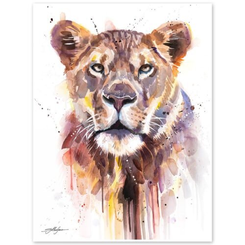 African Lioness