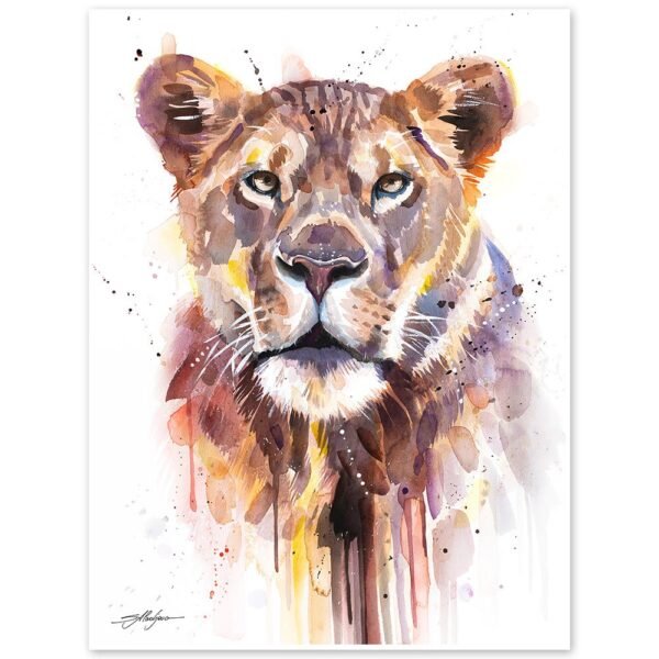 African Lioness