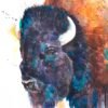 American bison