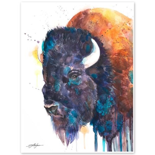 American bison