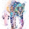 Amur leopard