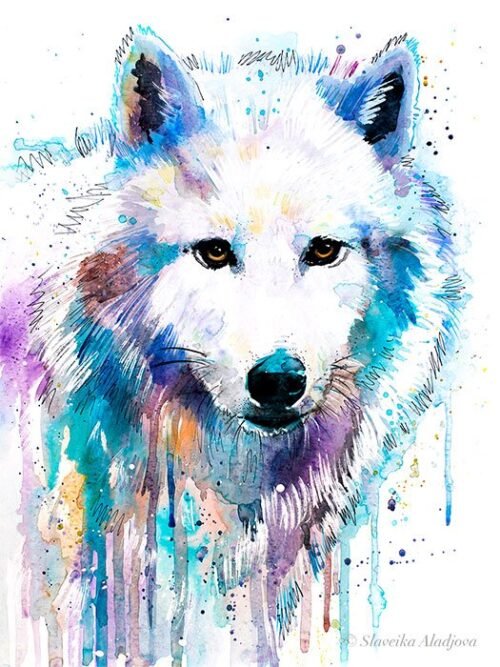 Arctic Wolf