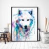 Arctic Wolf