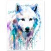 Arctic Wolf
