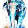 Asian Elephant