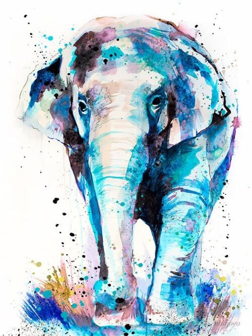 Asian Elephant