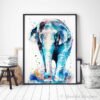 Asian Elephant