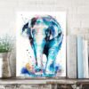 Asian Elephant