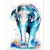 Asian Elephant
