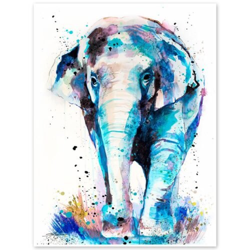 Asian Elephant