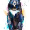 Asian black bear