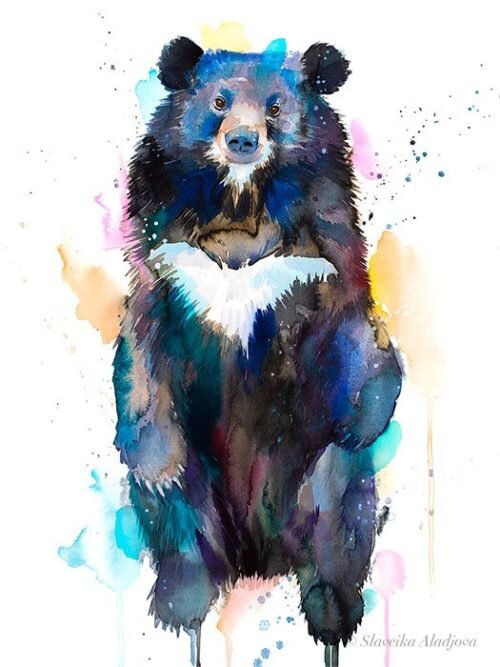 Asian black bear