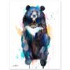 Asian black bear
